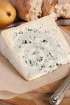 French Bleu D`Auvergne Cheese