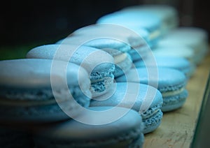 French blue macrons arranged ready to eat.