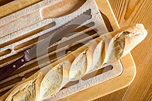 French bread baguette photo