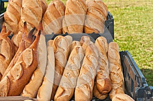 French bread loaves on display and for sale, at a tropical, farmers market