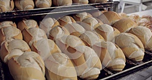French bread in production inside the bakery
