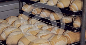 French bread in production inside the bakery