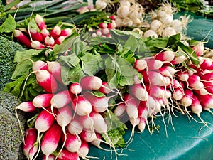 French breakfast radishes for sale at MarchÃÂ© Saxe-Breteuil, Paris, France photo