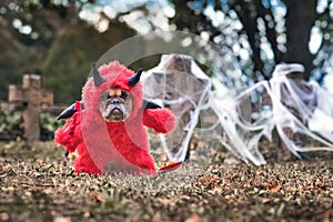 French Buldog dog wearing red Halloween devil costum with fake arms holding pitchfork, with devil tail, horns and black bat wings