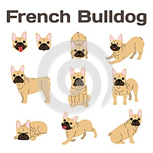 French bulldog in action,happy dog