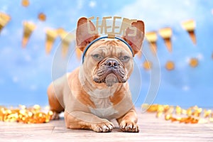 French Bulldog with birthday part headband with words Cheers in front of blurry blue background with party streamers