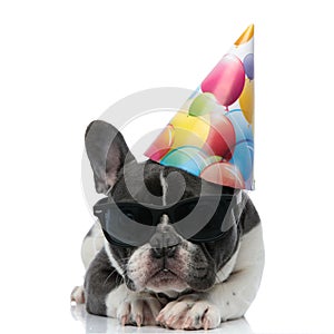 French bulldog with birthday party hat and black sunglasses