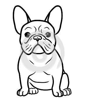French bulldog black and white hand drawn cartoon portrait vector illustration. Funny french bulldog puppy sitting and looking