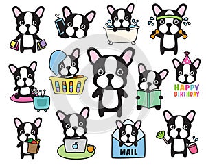 French Bulldog Boston Terrier Dog Vector Set