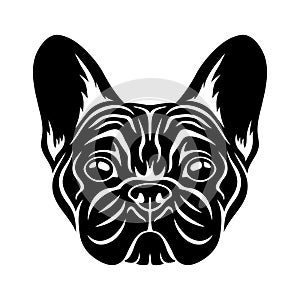 French bulldog breed dog.