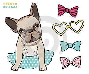 French bulldog. Cute puppy bulldog with accessorises. Dress up your dog vector illlustration