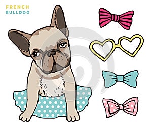French bulldog. Cute puppy bulldog with accessorises. Dress up your dog vector illlustration photo