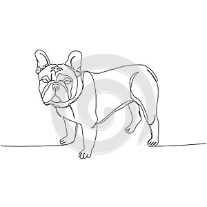 French Bulldog, dog breed, companion dog one line art. Continuous line drawing of friend, dog, doggy, friendship, care