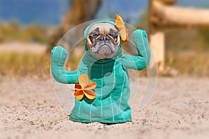 French Bulldog dog dressed up with funny cactus Halloween dog costume with fake arms and orange flowers photo