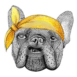 French bulldog dog head hand drawn illustration. Doggy in pin-up yellow bandana, isolated