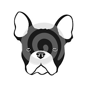 French bulldog dog logo. Vector illustration.