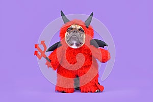 French Bulldog dog with red devil Halloween costume wearing a fluffy full body suit with fake arms holding pitchfork