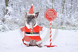 French Bulldog dog wearing Christmas Santa Claus costume next to Santa stop sign