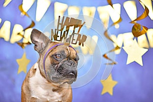 French Bulldog dog wearing New Year`s Eve part headband