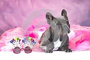 French Bulldog dog wearing pink tutu skirt with glasses saying Happy Birthday