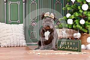 French Bulldog dog wearing ribbon headband next to Christmas tree and Merry Christmas sign