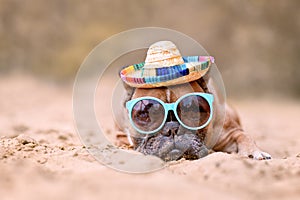 French Bulldog dog wearing sunglasses and straw hat at beach