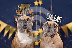 French Bulldog dogs wearing golden New Year`s Evve party celebration headbands with words `Happy new year` and `cheers`