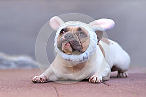 French Bulldog dressed up as easter bunny wearing a fluffy light blue headband with rabbit ears