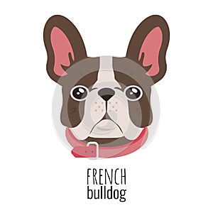 French bulldog face. Cute brown Frenchie with bunny ears. Vector photo