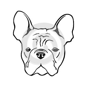 French bulldog face dog. French bulldog dog logo.