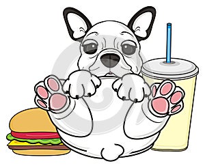 French bulldog with fast food