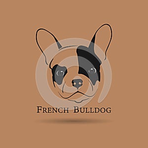 French Bulldog Head on brown background