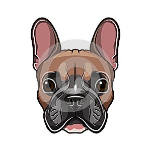 French bulldog head isolated on white