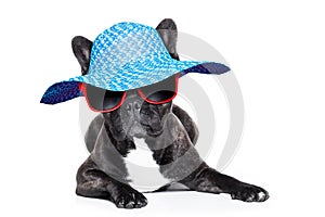 French bulldog on holidays