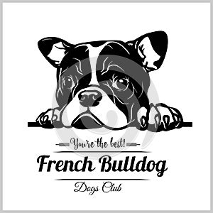 French Bulldog - Peeking Dogs - breed face head isolated on white