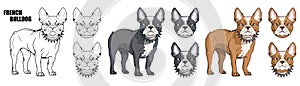 French bulldog, pet logo, dog french bulldog, colored pets for design, french bulldog puppy, colour illustration suitable as logo