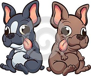 French bulldog puppies