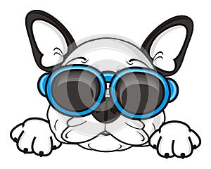 French bulldog puppy in sunglasses