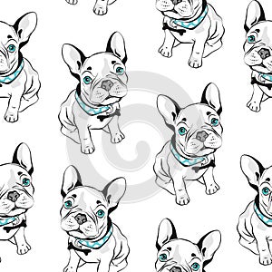 French bulldog seamless pattern on white background. Vector illustration. Hand drawn funny dogs with blue eyes.