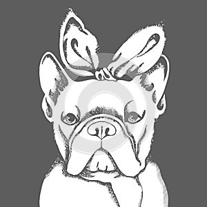 French Bulldog. Vector illustration for a card or poster. Print on clothes. Cute puppy.