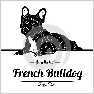 French Bulldog - vector illustration for t-shirt, logo and template badges