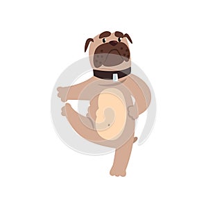 French bulldog working out yoga excercise, padangusthasana pose, funny dog practicing yoga cartoon vector Illustration