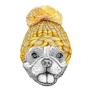 French bulldog with yellow knitted hat and scarf. Hand drawn illustration of dressed dog