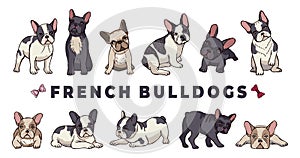 French bulldogs. Vector bulldog set. Funny cartoon puppy isolated on white background