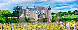 French castles and vineyards,Luynes castle, heritage of France