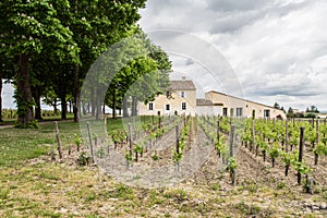 French Chateau in Saint-Emilion