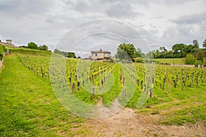 French Chateau in Saint-Emilion