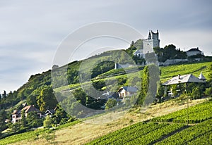 French chateau and vineyards