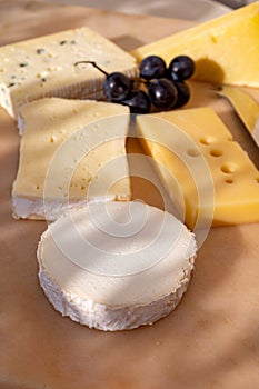 French cheese collection on marble board, emmental, carre de aurillac, petit cantal AOP Jeune, buche chevre, brie