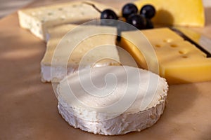 French cheese collection on marble board, emmental, carre de aurillac, petit cantal AOP Jeune, buche chevre, brie